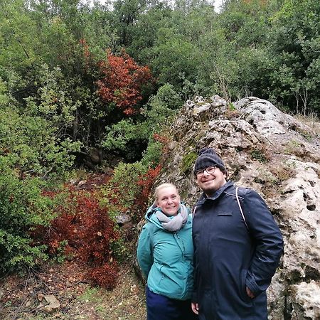 Mhna Guest House Ajloun Luaran gambar