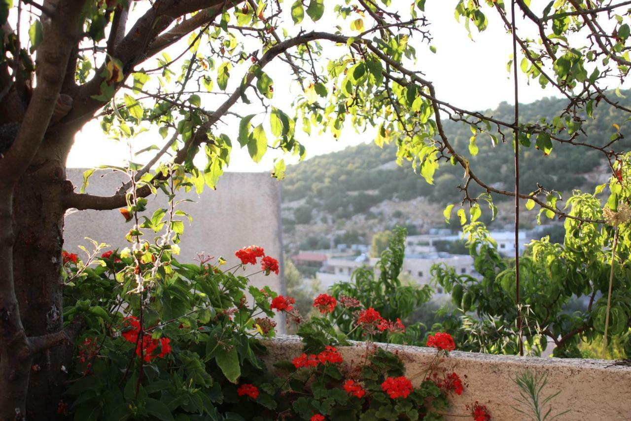 Mhna Guest House Ajloun Luaran gambar