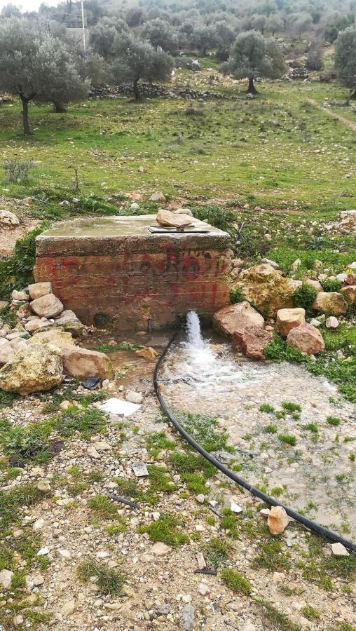 Mhna Guest House Ajloun Luaran gambar